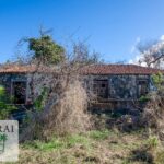 real estate Puntagorda