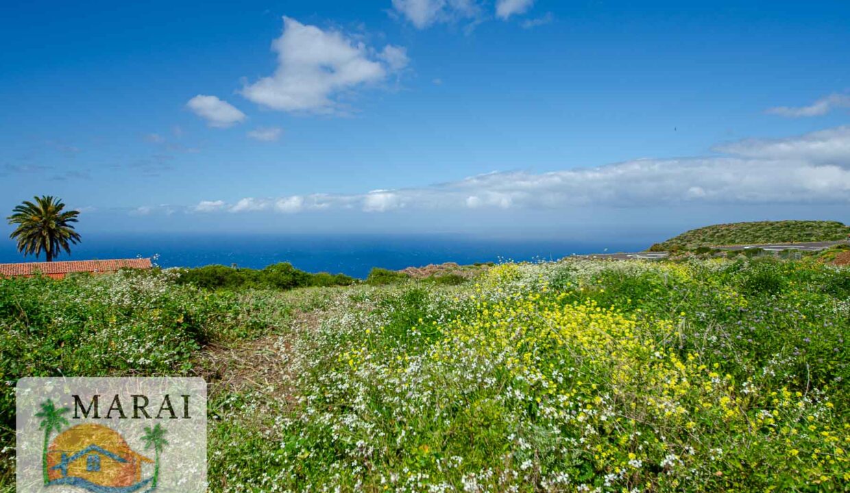 Puntagorda_Lomada-10