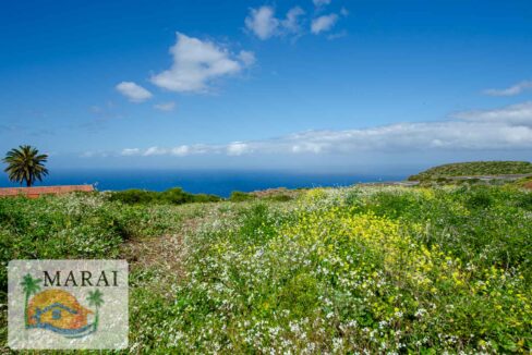 Puntagorda_Lomada-10