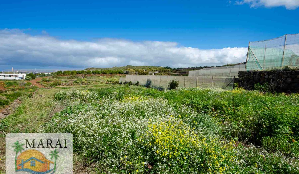 Puntagorda_Lomada-11