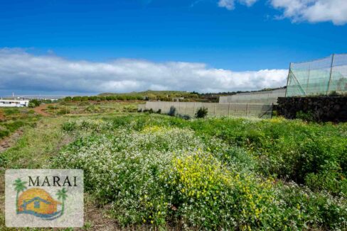 Puntagorda_Lomada-11