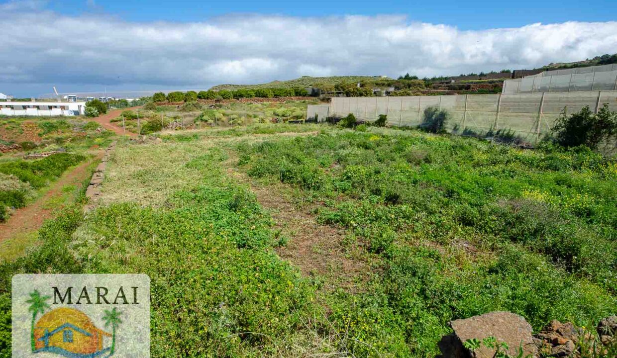 Puntagorda_Lomada-12