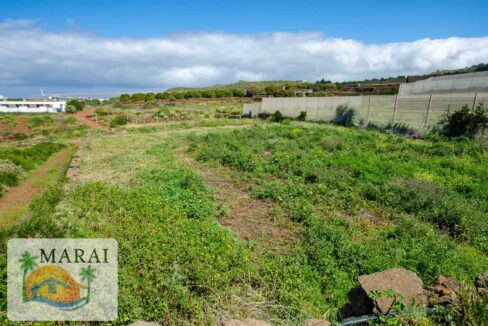 Puntagorda_Lomada-12