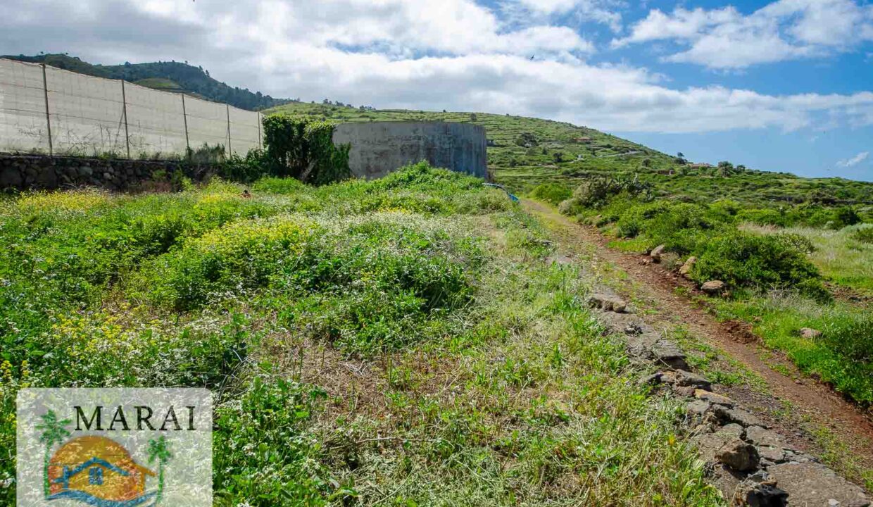 Puntagorda_Lomada-13