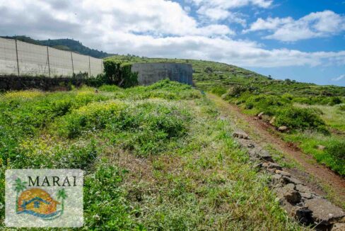 Puntagorda_Lomada-13