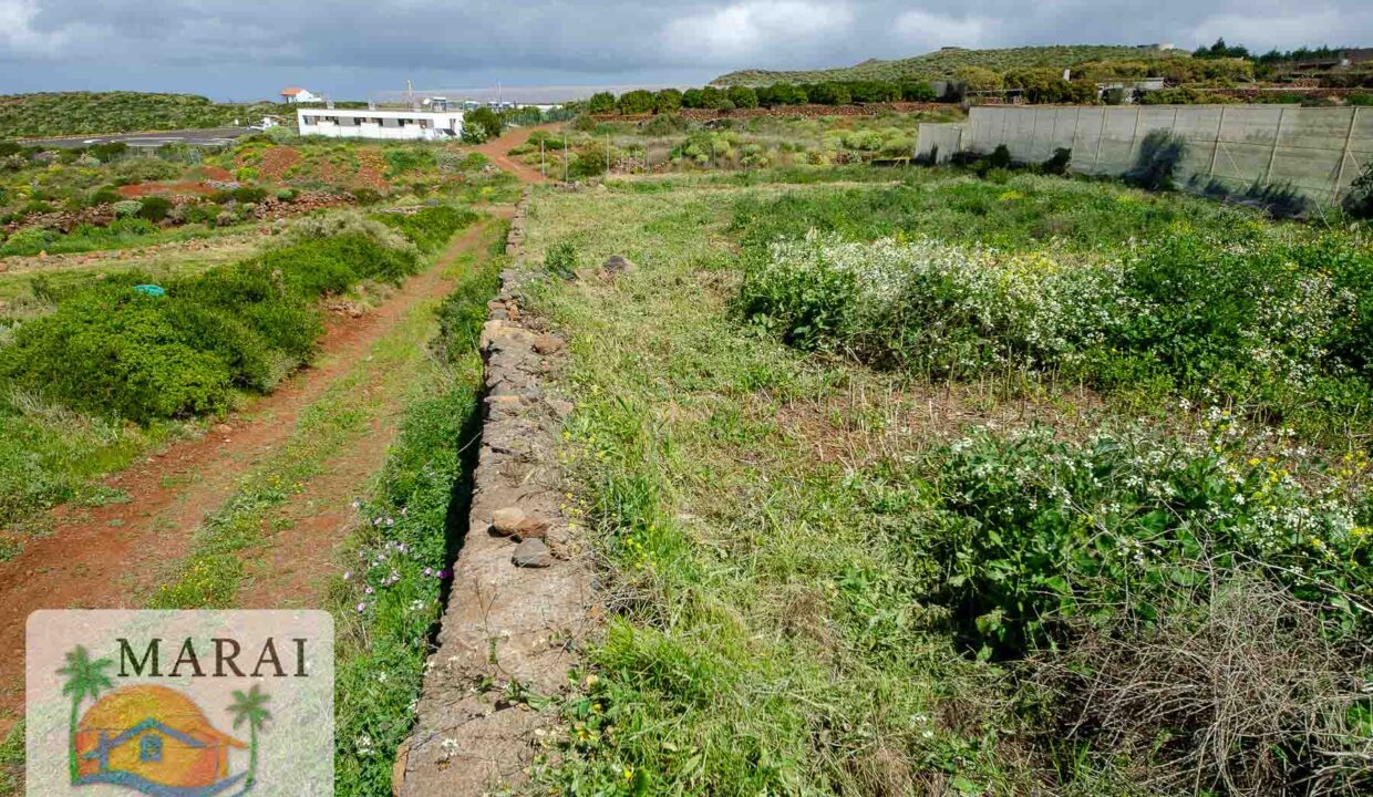 Puntagorda_Lomada-14