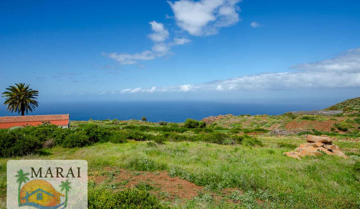 Puntagorda_Lomada-15