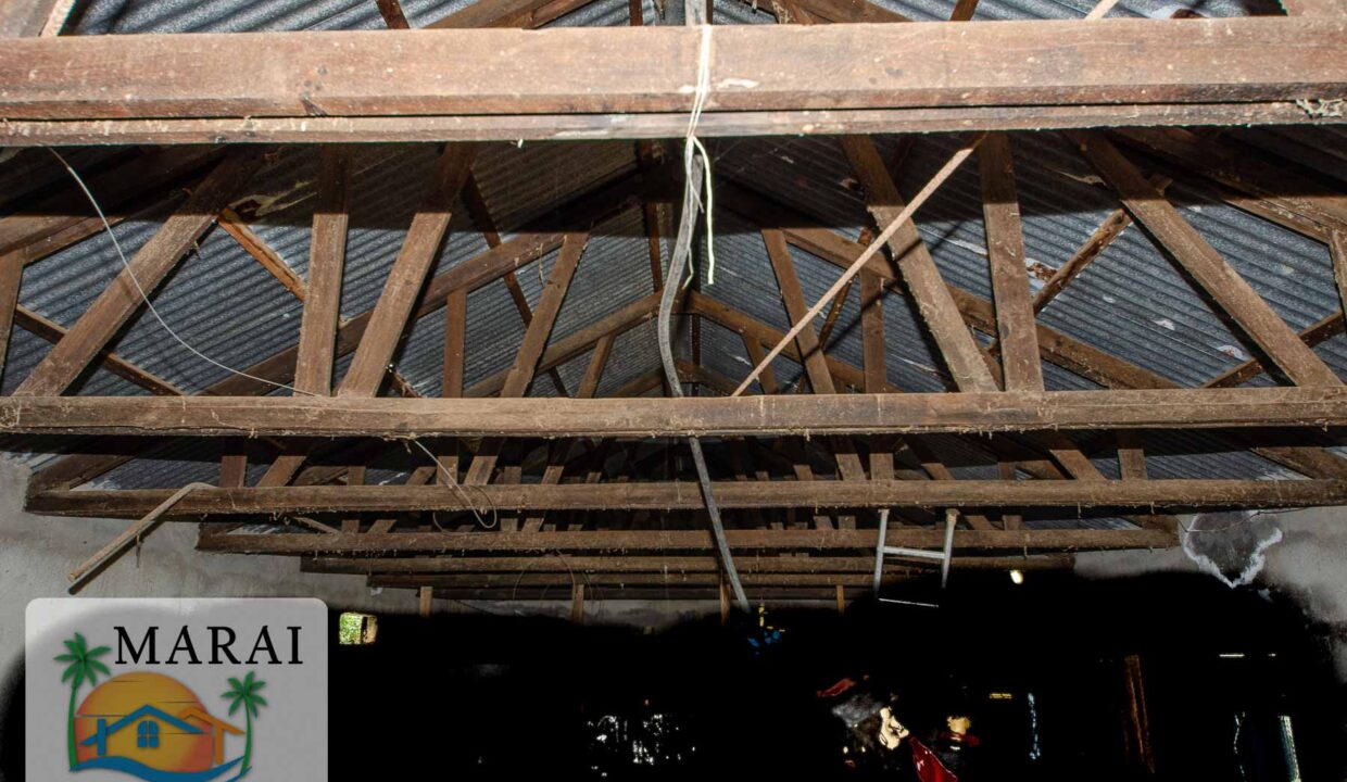 Puntagorda_Lomada-16