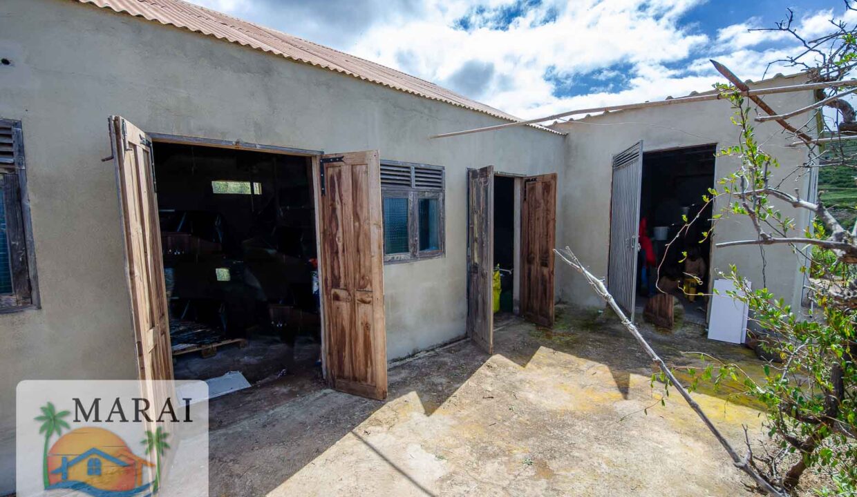 Puntagorda_Lomada-17