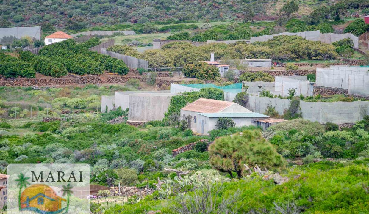 Puntagorda_Lomada-18