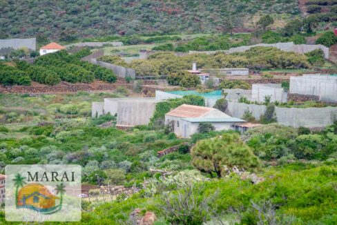 Puntagorda_Lomada-18