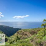 turismo la palma