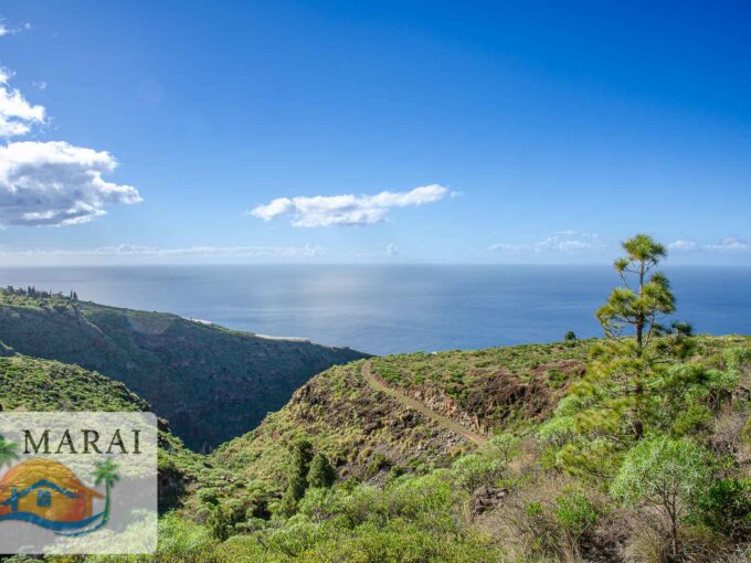 turismo la palma