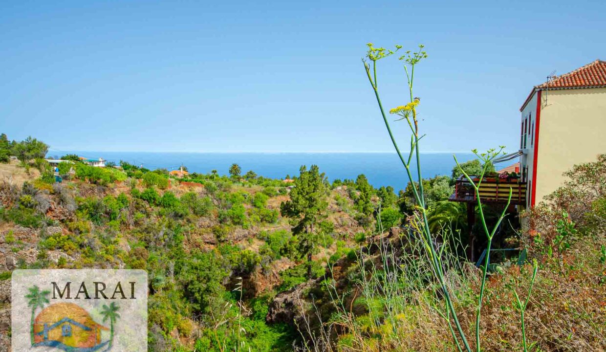 puntagorda_inmobiliaria