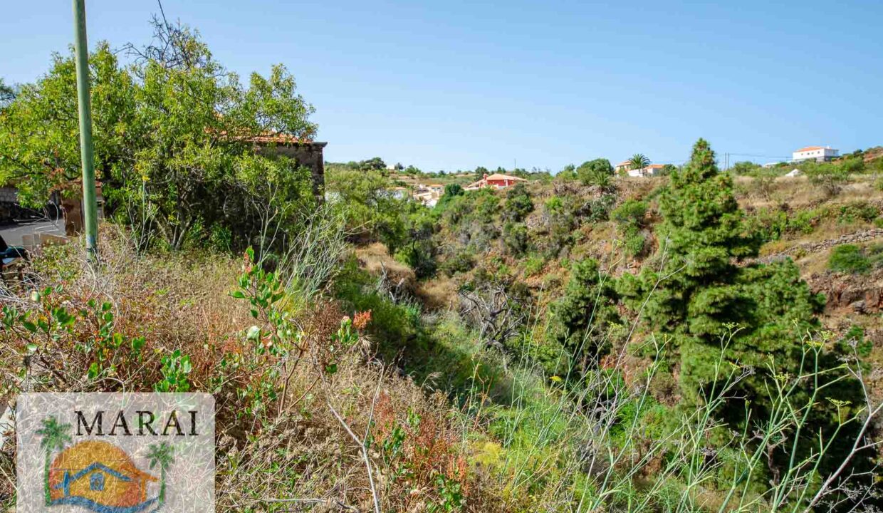 puntagorda_inmobiliaria-2