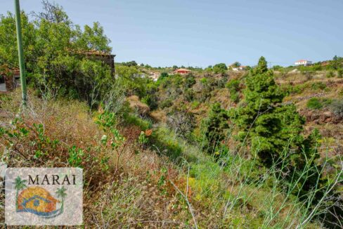 puntagorda_inmobiliaria-27