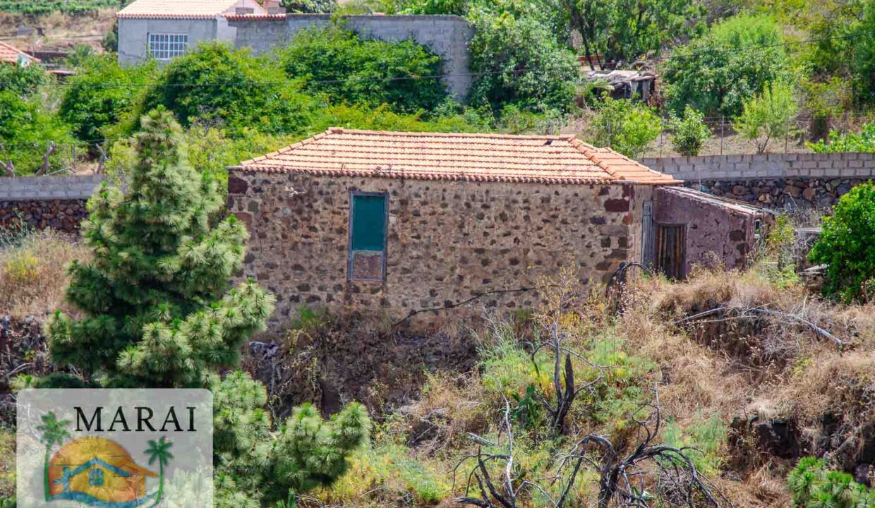 puntagorda_inmobiliaria-28