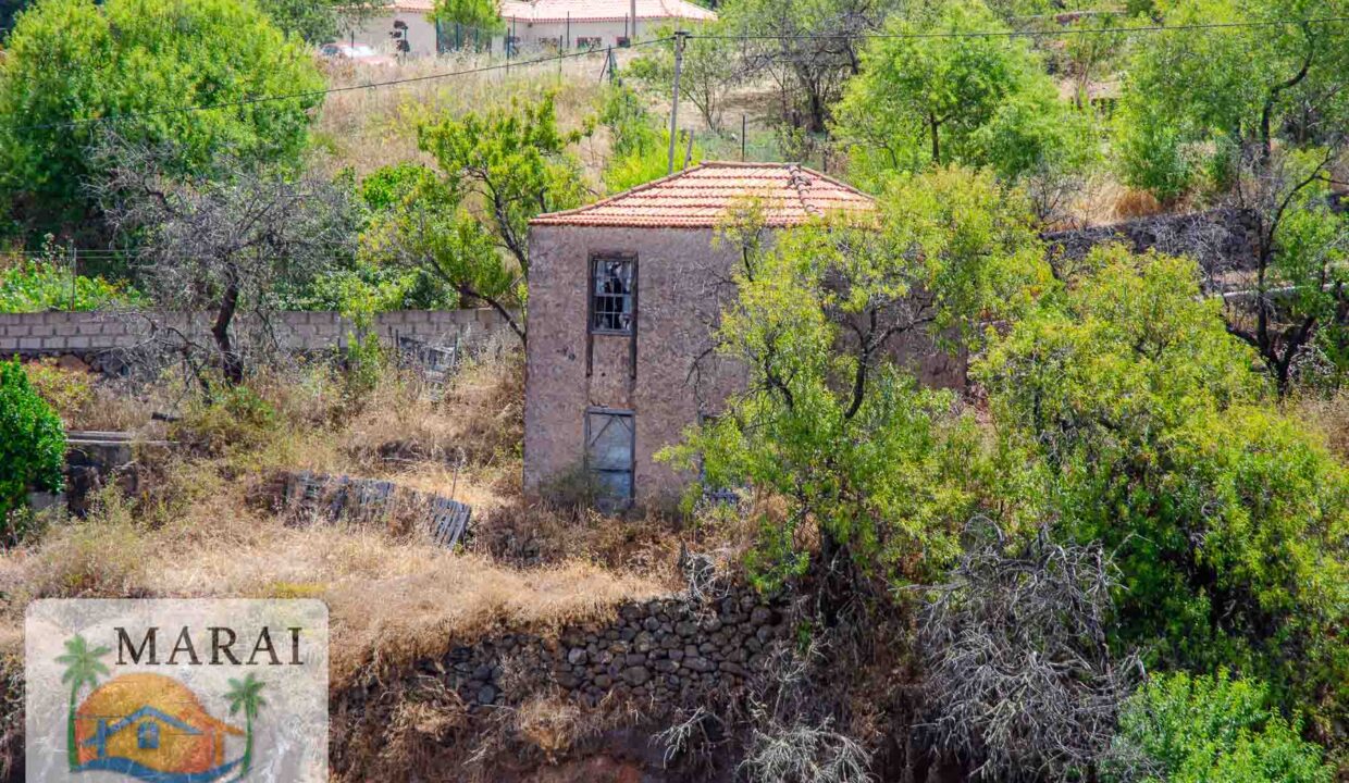 puntagorda_inmobiliaria-29