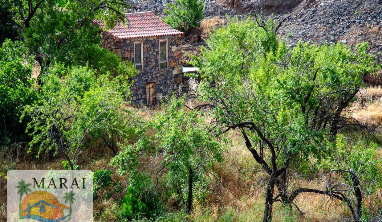 puntagorda_inmobiliaria-3