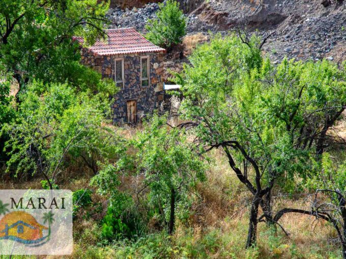 real estate Puntagorda