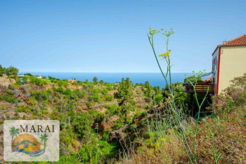 puntagorda_inmobiliaria