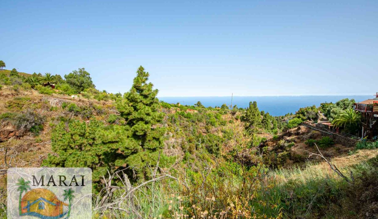 puntagorda_inmobiliaria-6