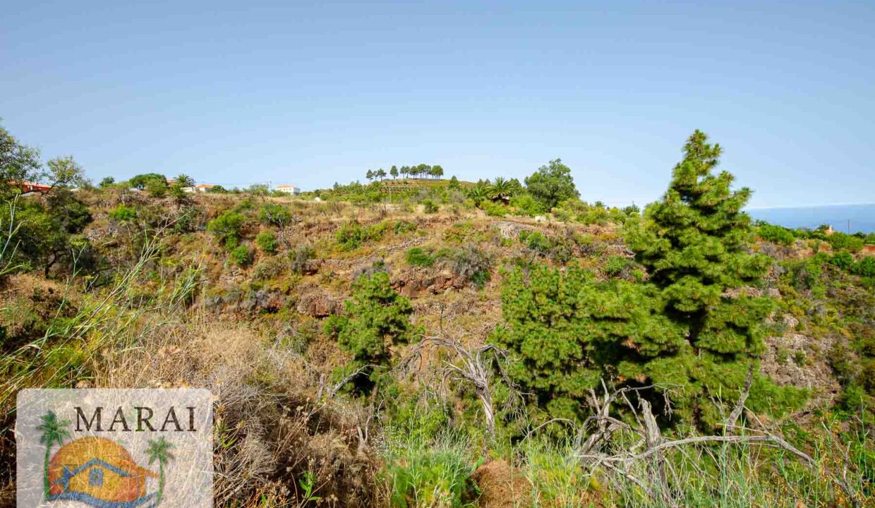 puntagorda_inmobiliaria-7