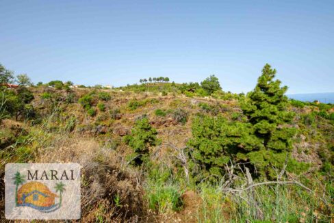 puntagorda_inmobiliaria-7