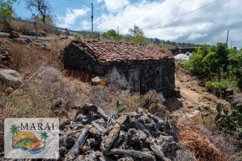 puntagorda-19