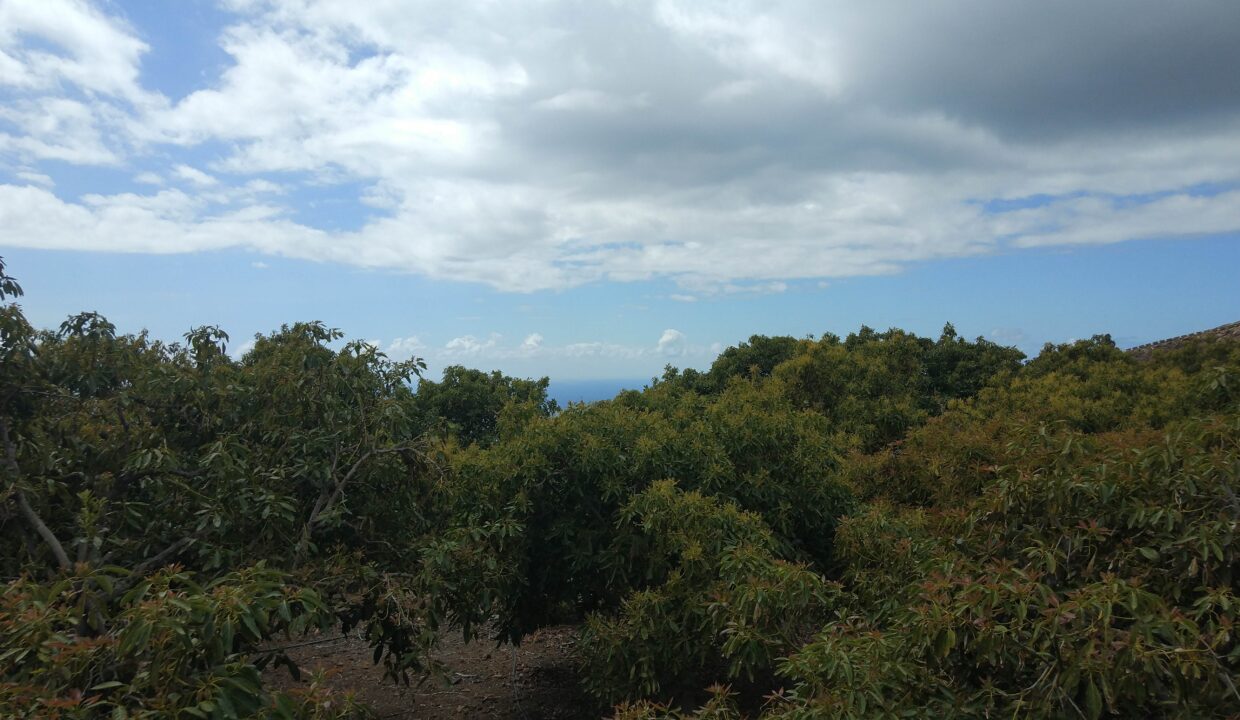 IMG_20220325_145044