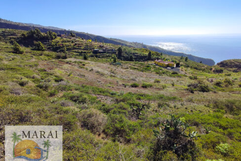 marai_2200-4