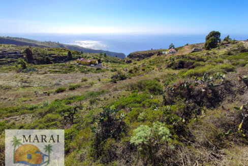 marai_2200-5